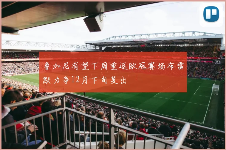 鲁加尼有望下周重返欧冠赛场布雷默力争12月下旬复出