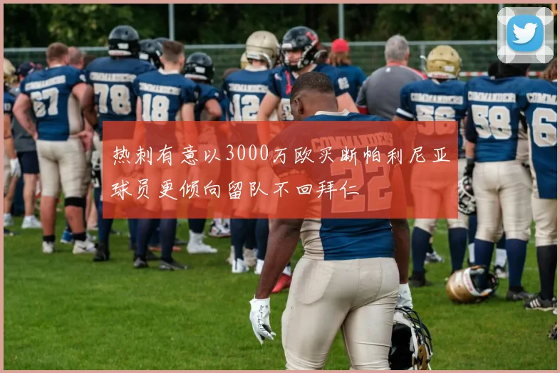 热刺有意以3000万欧买断帕利尼亚球员更倾向留队不回拜仁