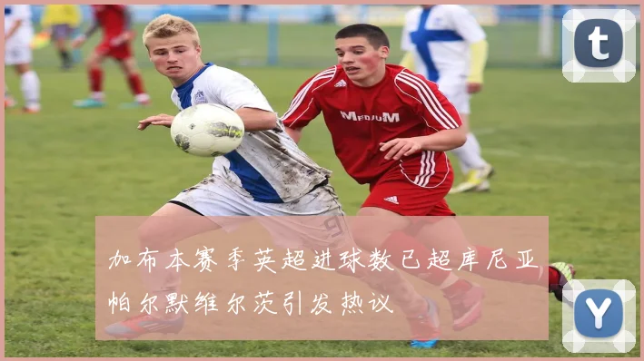 加布本赛季英超进球数已超库尼亚帕尔默维尔茨引发热议